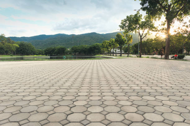 Best Driveway Pavers Near Me  in Corrigan, TX